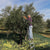 Authentic Croatian Olive Oil x 6